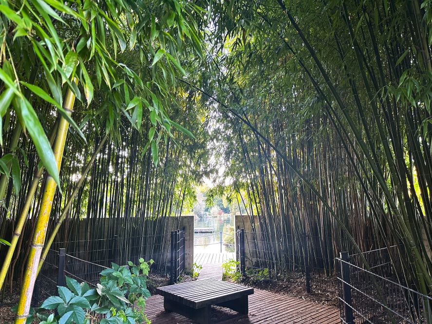 Park im Grünen