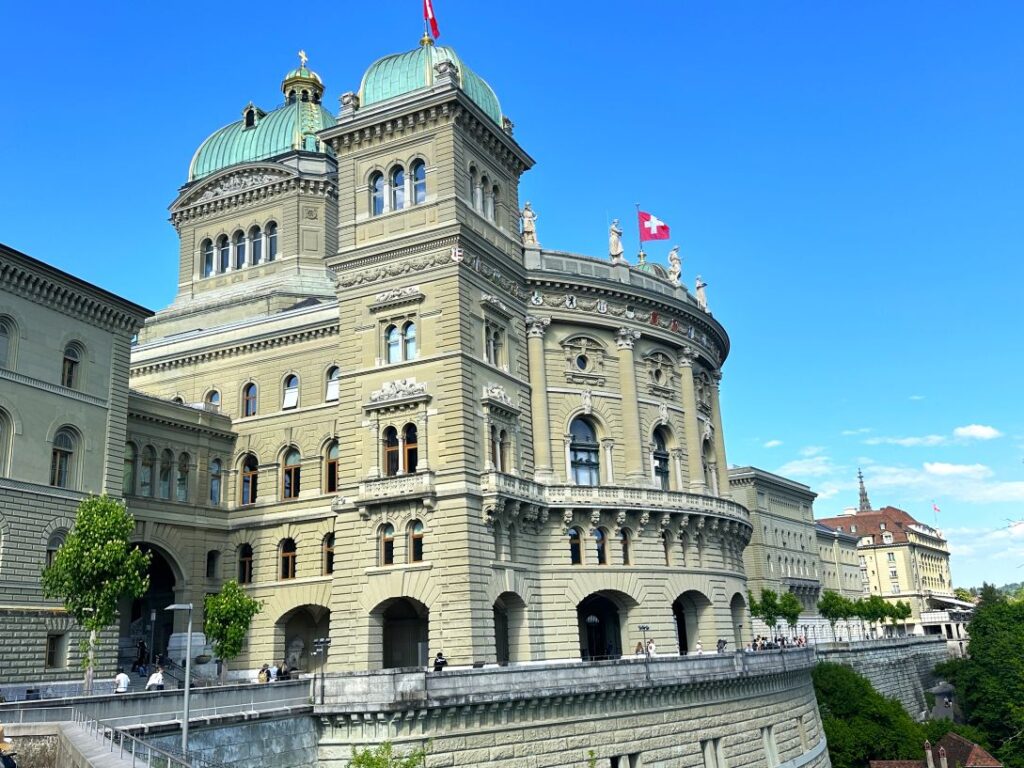 federalnyj palacz 1